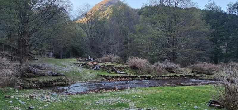 Boca León, Región de Aysén