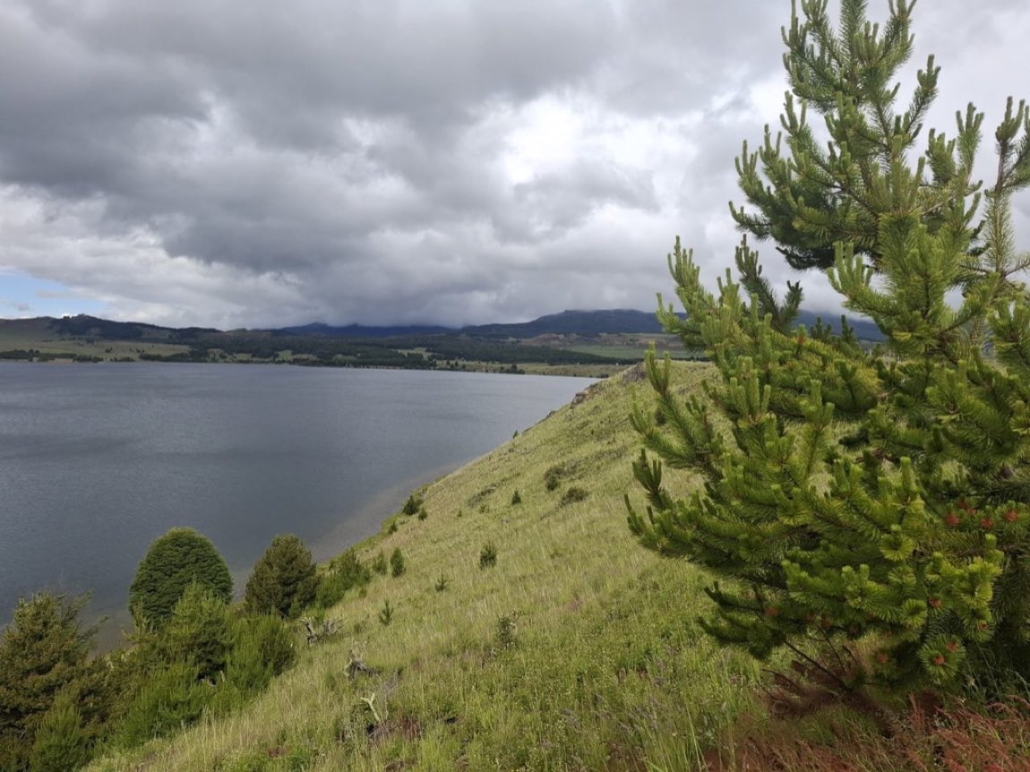 Parcela 0,5 ha en Lago Pollux, Coyhaique