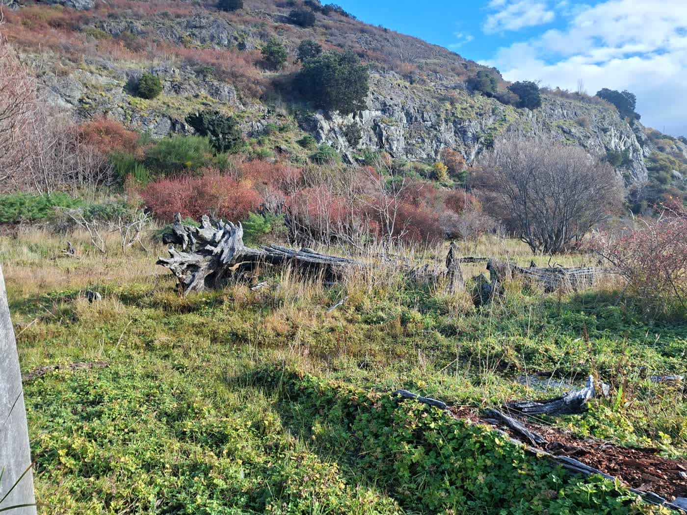 Parcela 0,5 ha camino a Exploradores, Río Ibáñez