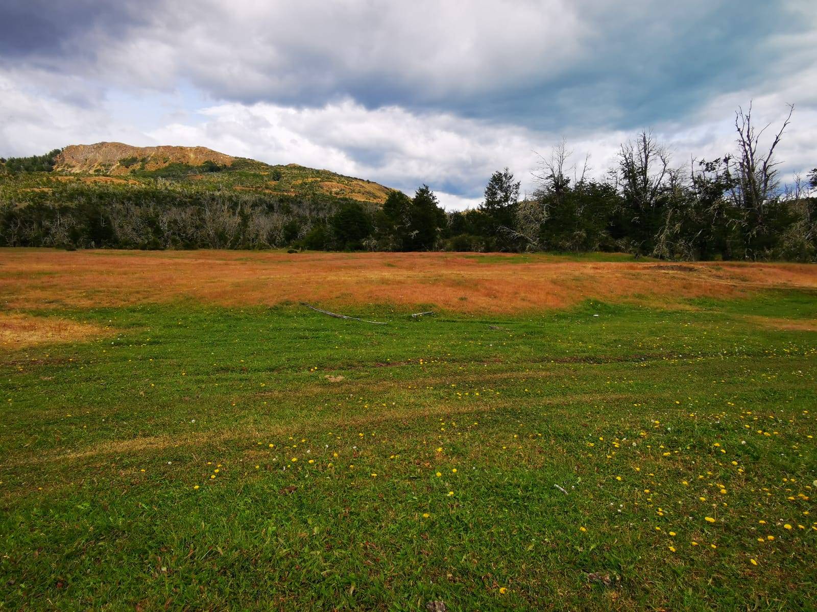 Parcela 1,41 ha en Los Maquis, Puerto Guadal, Chile Chico