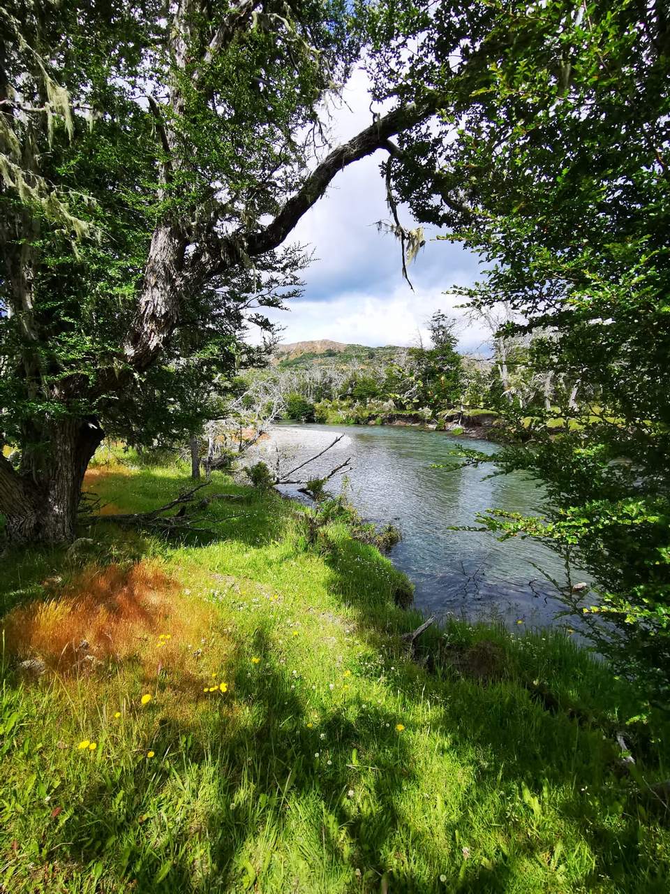 Parcela 1,41 ha en Los Maquis, Puerto Guadal, Chile Chico