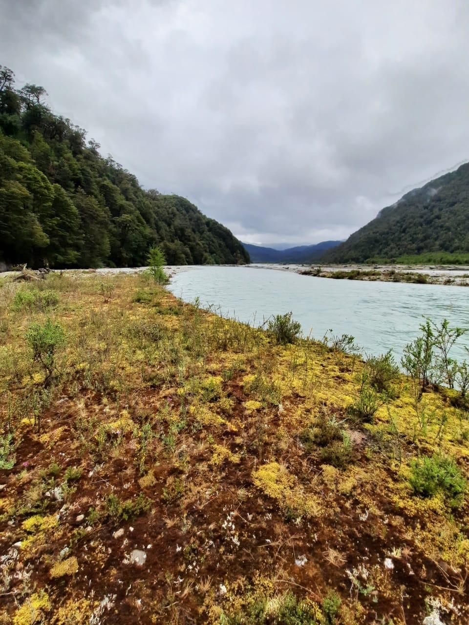 Campo en Venta en Lago General Carrera | 50000 m² | $85.000.000 - 2