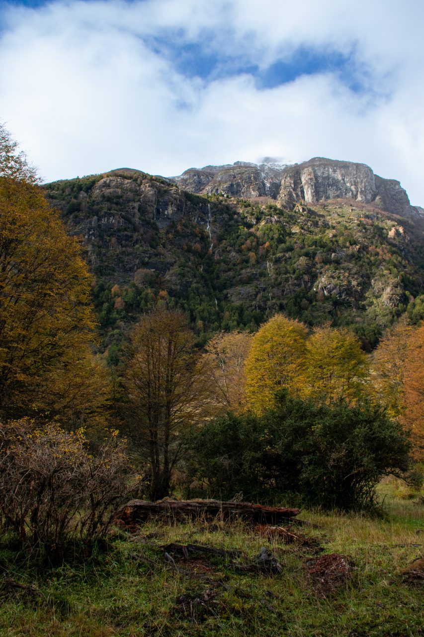 Campo en Venta en Cerro Castillo | 26400 m² | $220.000.000 - 9