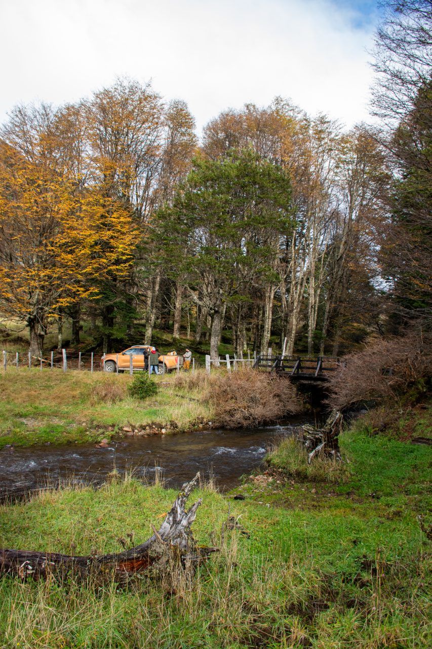 Campo en Venta en Cerro Castillo | 26400 m² | $220.000.000 - 12