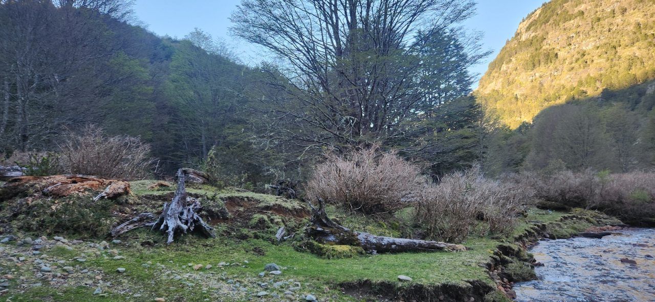 Campo en Venta en Cerro Castillo | 26400 m² | $220.000.000 - 16