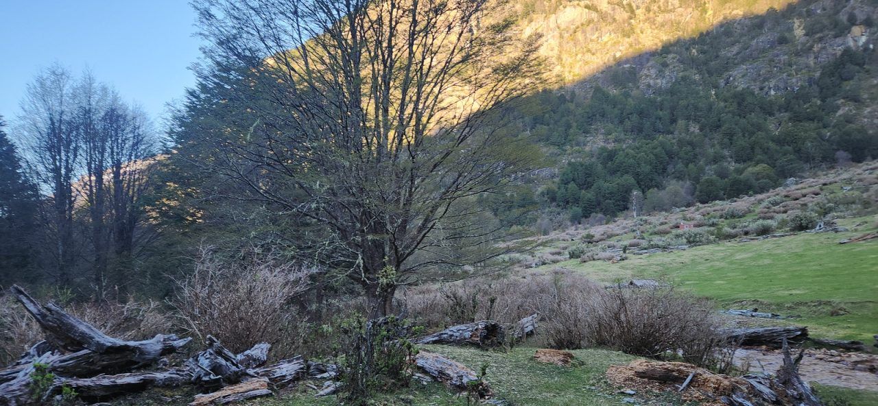 Campo en Venta en Cerro Castillo | 26400 m² | $220.000.000 - 17