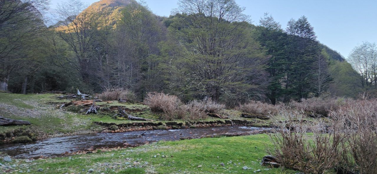 Campo en Venta en Cerro Castillo | 26400 m² | $220.000.000 - 21