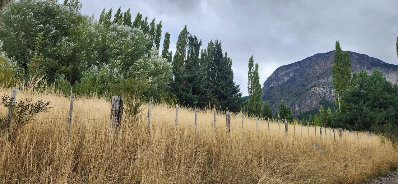 Land for Sale in Coyhaique | 1900 m² | $165,000,000 - 5