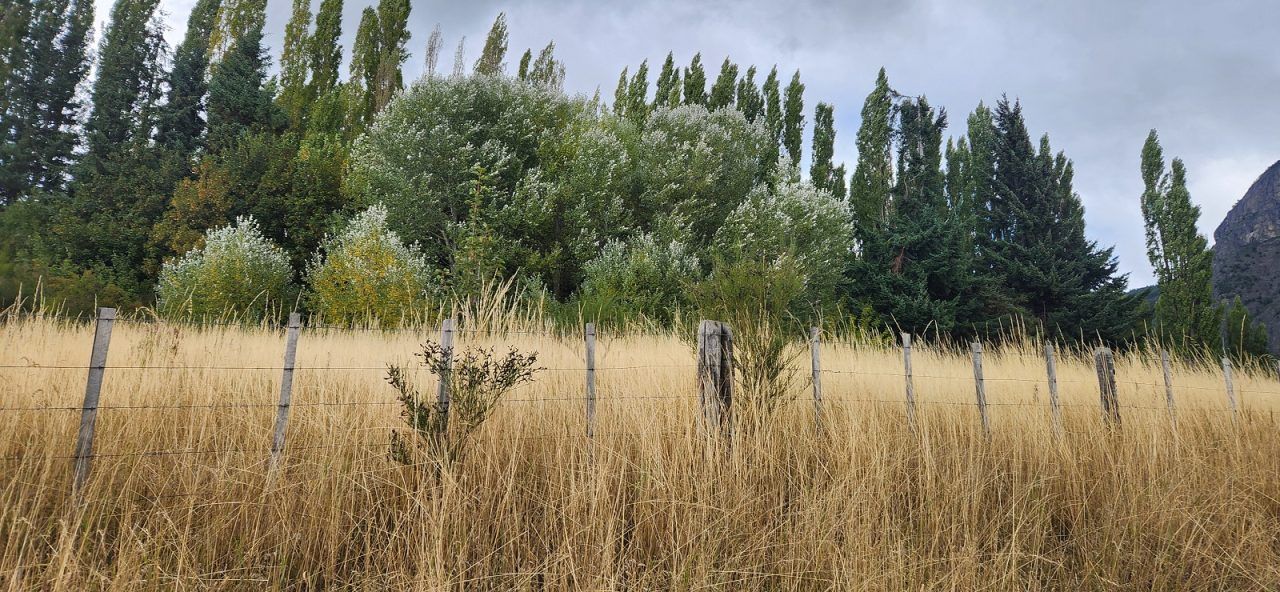 Land for Sale in Coyhaique | 1900 m² | $165,000,000 - 6