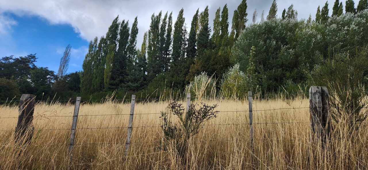 Land for Sale in Coyhaique | 1900 m² | $165,000,000 - 8