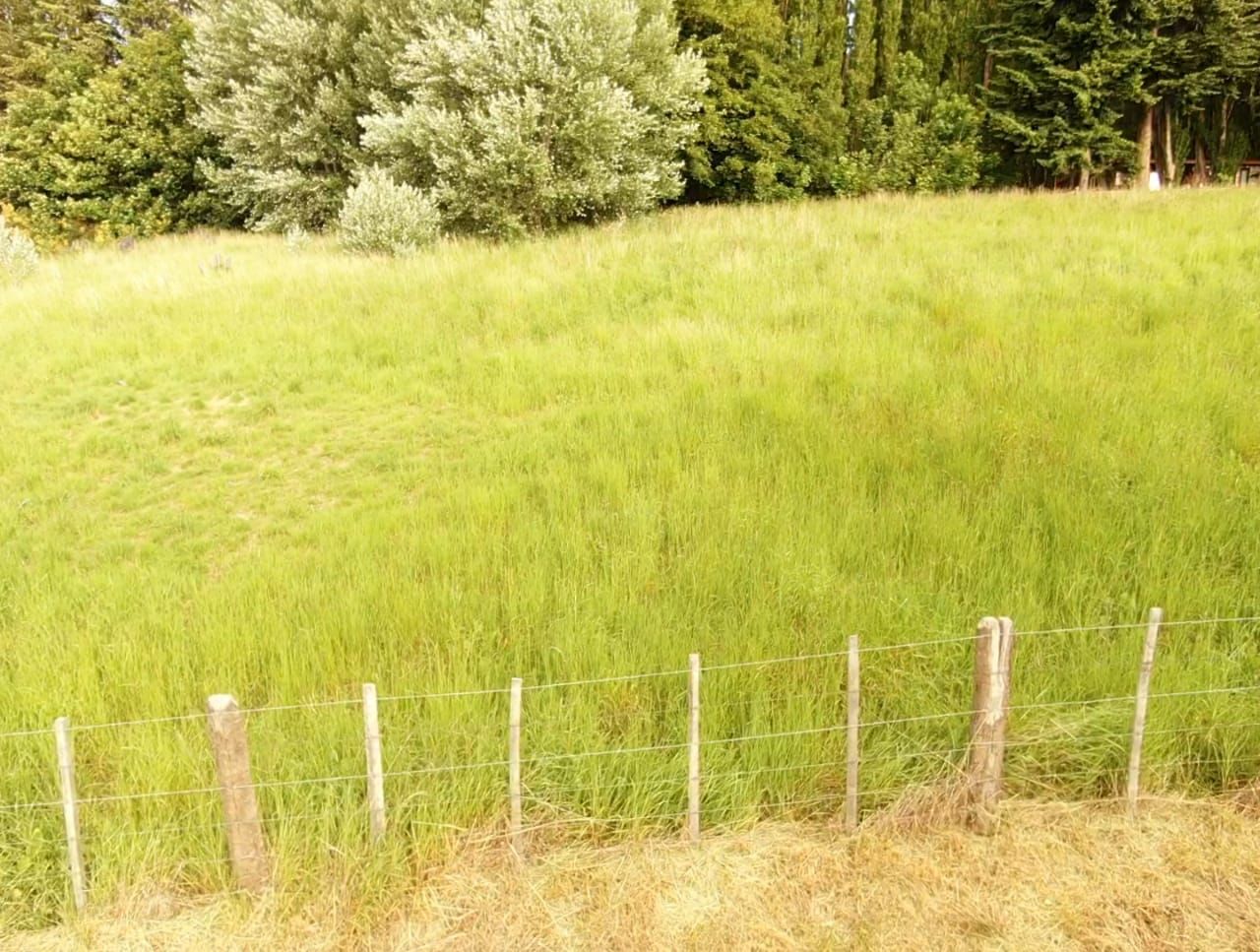 Land for Sale in Coyhaique | 1900 m² | $165,000,000 - 13