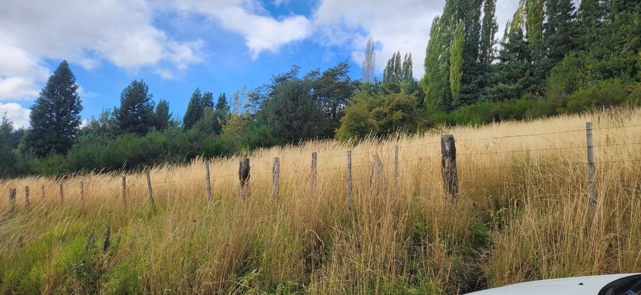 Land for Sale in Coyhaique | 1900 m² | $165,000,000 - 22