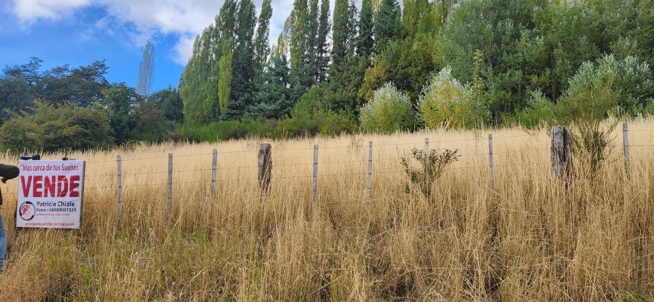 Land for Sale in Coyhaique | 1900 m² | $165,000,000 - 23