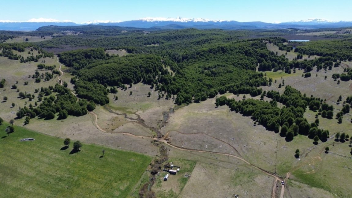 Parcela en Venta en Coyhaique | 5000 m² | $25.000.000 - 2