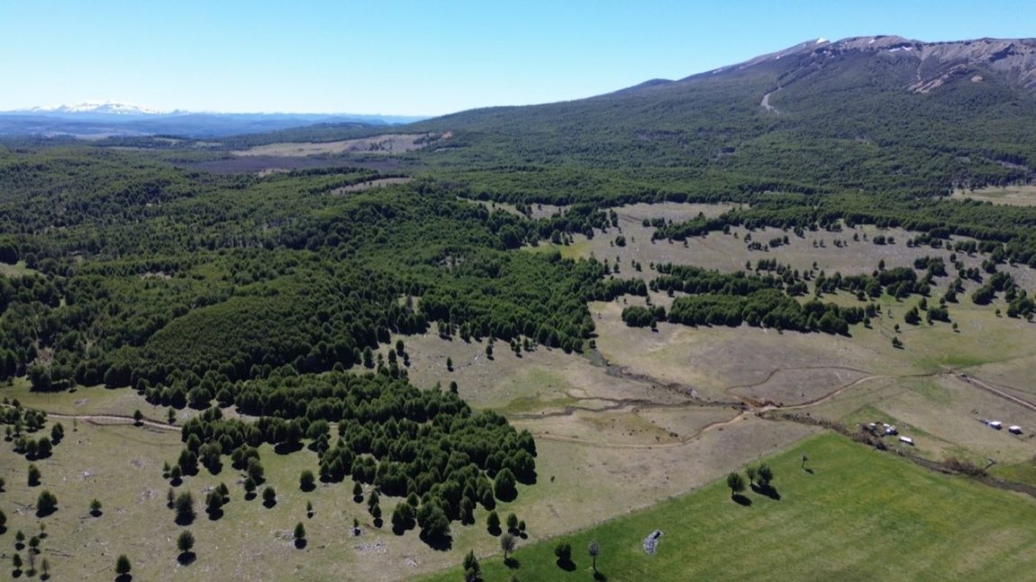 Parcela en Venta en Coyhaique | 5000 m² | $25.000.000 - 3